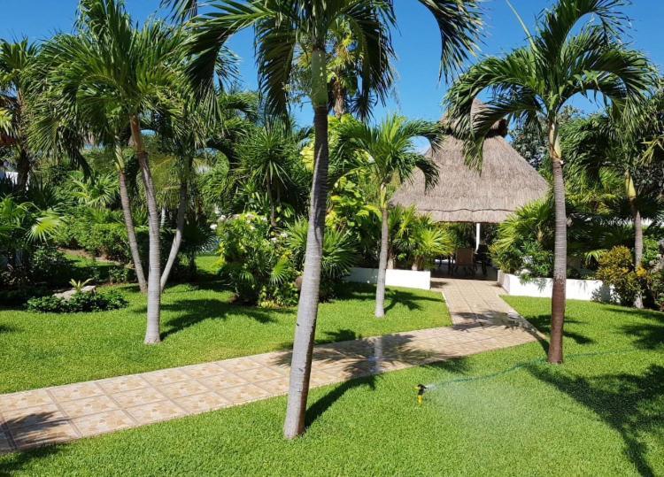 Large House - Walking To Beach - 10 Guests! カンクン エクステリア 写真